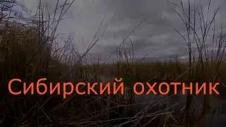 Охота на Сибирских болотах.Гусь,мазила и крякашь.Сезон 2018.