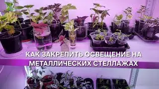 КАК ЗАКРЕПИТЬ ОСВЕЩЕНИЕ НА СТЕЛЛАЖАХ //ЭКОНОМИМ РАБОЧИЕ МЕСТА ПОД РАСТЕНИЯ