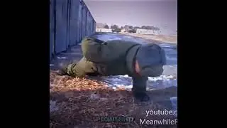 Bro broked the gravity☠️ [Troll face]