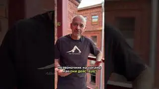 Курс подготовки преподавателей йоги 🔥