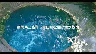 静岡県　柿田川公園　湧水散策（再編集版）