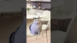 Жизa?🤨