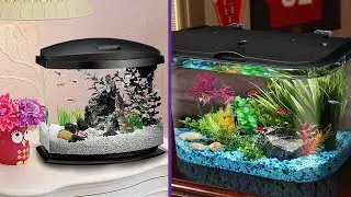 Best Betta Fish Tank Buying Guide- Top 7 Review [2023]