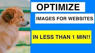 Optimizing Images File Size For Websites (Also WordPress) In Less Than 1 Minute!