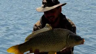 УБИЙЦА КАРПА Лучшая насадка для ХОЛОДНОЙ ВОДЫ !!! я не верил до последнего !!! ЛОВЛЯ КАРПА В МАЕ