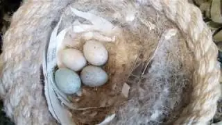 ЧАСТЬ 3 -  КЛАДКА