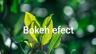 Cara membuat efek bokeh/blur di android | 