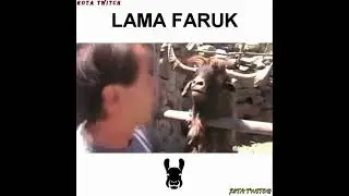 FURKAN EMİRCE - LAMA FARUK #shorts #faruk #furkanemirce #keşfet #trending #trendingshorts