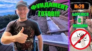 №29 ЗАЛИЛИ ФУНДАМЕНТ ПОД НОВЫЙ САРАЙ!!!/БОРЬБА С МУХАМИ!!!