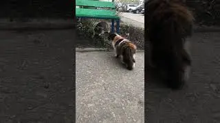 Встретились Два одиночества￼