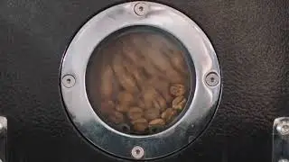 WhatsApp Video 2025-08-07 at 18.12.15.mp4