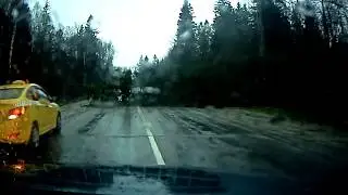 Упала ель на дорогу