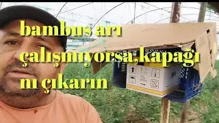 bambus arı çalışmıyorsa kapağını çıkarın ben denedim çalıştı.