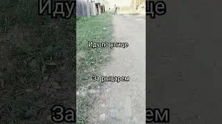 гномы
