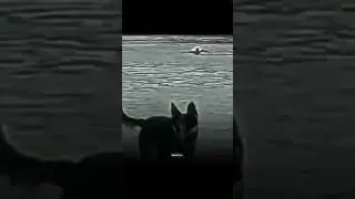 #хочуврек