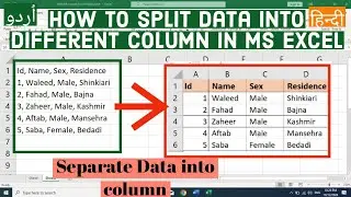 How to split date into different Column in Ms Excel | Separate Data into column in Ms Excel