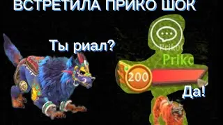 ПРИКО В ОНЛАЙНЕ ШОК оказалась настоящая!