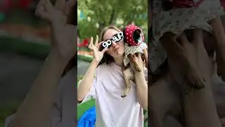 САП-СТАНЦИИ НА СЕВЕРЕ МОСКВЫ 🤙🏼 GOSUP  #саппрогулки  #загребись  #sports  #gosup