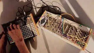 Synthstrom Deluge & Modular