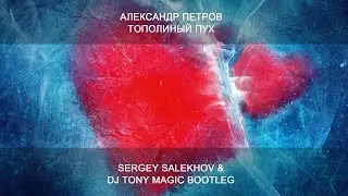 Александр Петров - Тополиный Пух (Sergey Salekhov & DJ Tony Magic Bootleg)