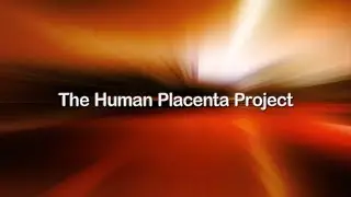 The Human Placenta Project