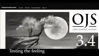 Testing the feeling with OJS 3.4