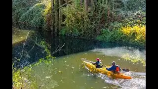 Living in Bothell, WA: The Ultimate Local Guide | Homes.com