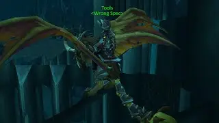 ICC 25 LOD - ICECROWN POV - PROT PALA POV WOTLK WARMANE 3.3.5 - GUILD Wrong Spec