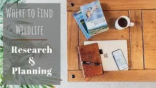 Wildlife Photography Tips | Research and Planning