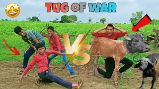जानवर को कम नहीं समझना चाहिए 🤨 human versus animal tug of war. 🤣😂💥