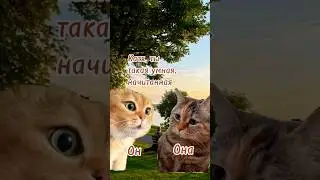 #отношения #юмор
