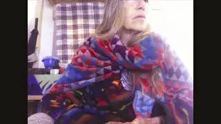 Colorado Courts -Fraud-Racketeering-Revenue Piracy-Human trafficking- Treason