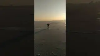 Русский спаниель на Ижевском пруду.