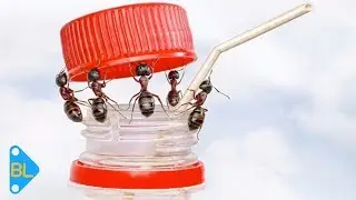 Fotoşop Olmadığına İnanmayacağınız 25 Muazzam Fotoğraf