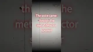 Ghost of Gold Miner Through Metal Detector?