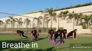 SURYANAMASKAR for beginners full video