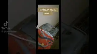 🩲 Погладил трусы 🩲 | ТикТок 