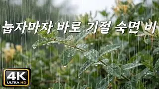 Fall Asleep the Second You Hit the Pillow[NoAds]💤7 Hours of Deep Rain Sounds(Nature's Sleeping Pill)