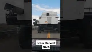 Grain Harvest 2024 #farmerrain #grainharvest #idaholife #farming #graincrop
