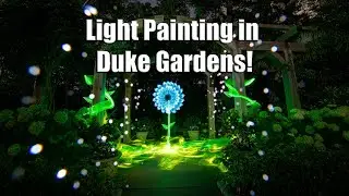 Light Painting in Duke Gardens - VLOG 66