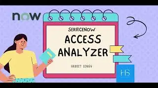 Everything about Access Analyzer in ServiceNow