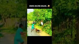 Anjing juga bisa ngeprank 🤣 | funny video #shorts