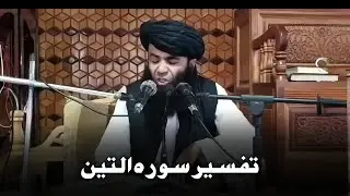 sheikh sardar wali || sheikh sardar wali bayan || sheikh sardar wali seerat || surah teen