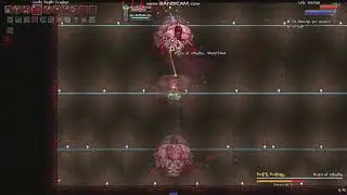 Brain of Cthulhu Nohit | Calamity Master Death mode