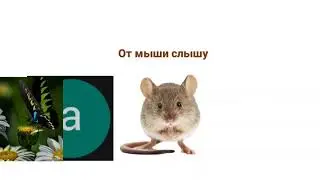 Типичный день когда учителя ко мне приходят и заставляют удалять канал