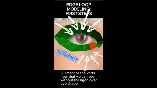Edgeloopfirststeps