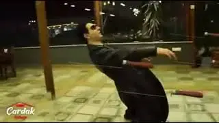 Мартица