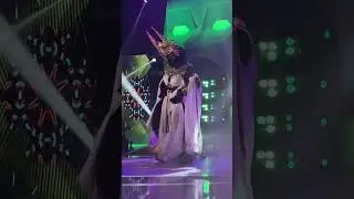 Gata canta 