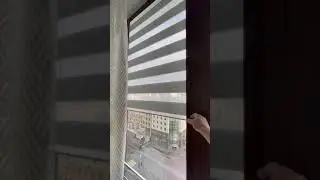 Рулонные шторы зебра