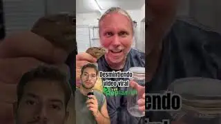 Desmintiendo video viral #serpiente #serpientesvenenosas #animales #cobra #naturaleza #veneno #viral